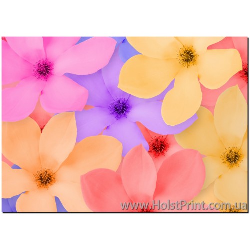 Фотокартины Цветы, ART: CVP788004, , 168.00 грн., CVP788004, , Фотокартины Цветы